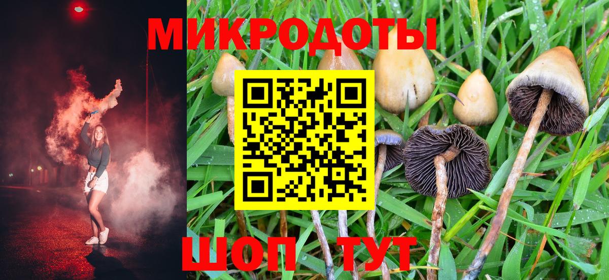 Псилоцибиновые грибы Cubensis Мариинск