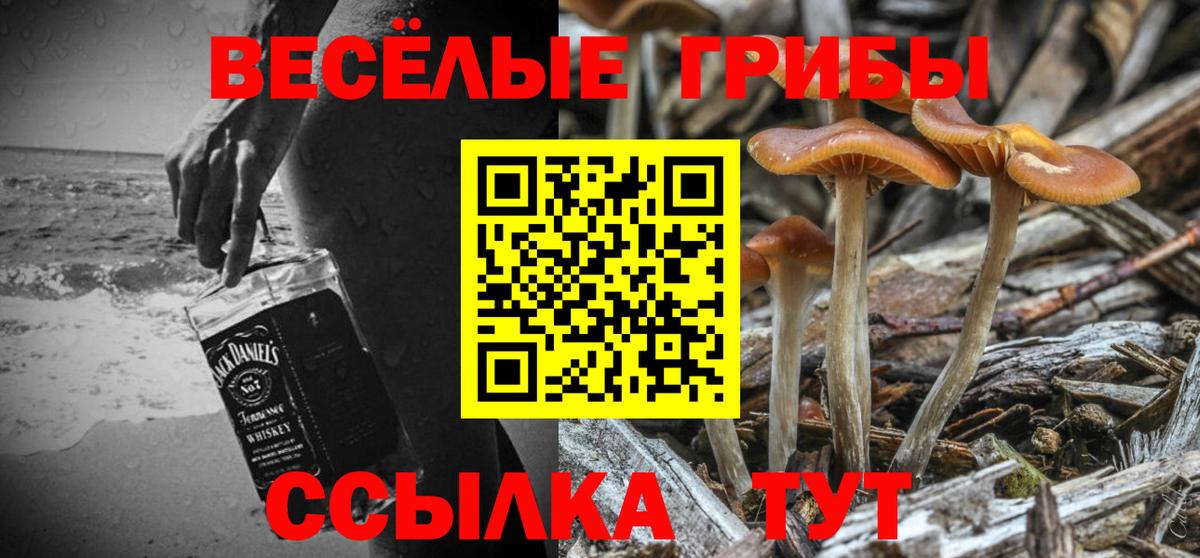 Мариинск  Псилоцибиновые грибы мицелий  Псилоцибиновые грибы мицелий  Вход с VPN 